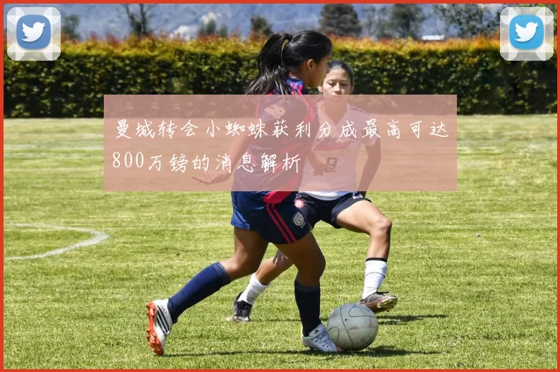 曼城转会小蜘蛛获利分成最高可达800万镑的消息解析