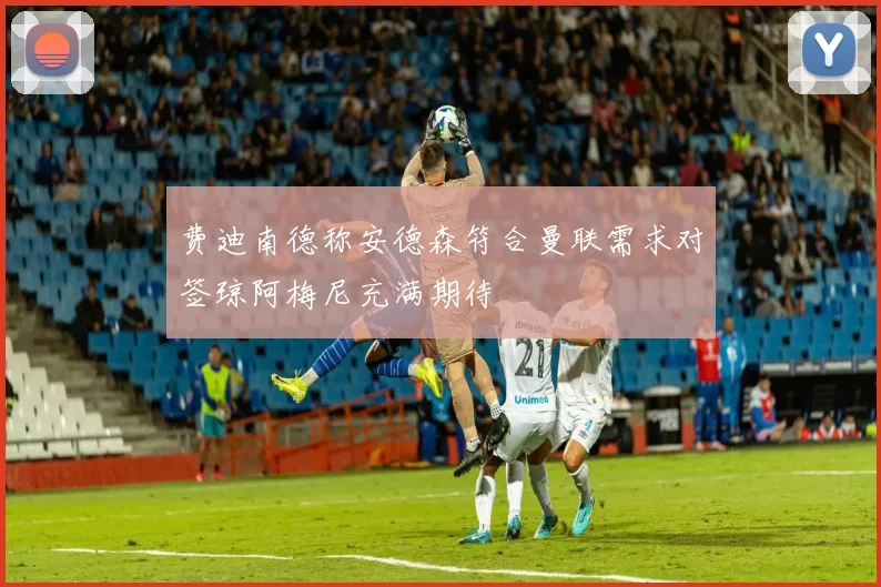 费迪南德称安德森符合曼联需求对签琼阿梅尼充满期待