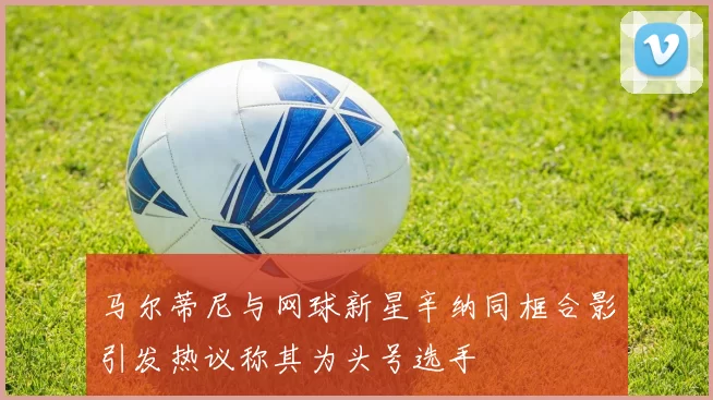 马尔蒂尼与网球新星辛纳同框合影引发热议称其为头号选手