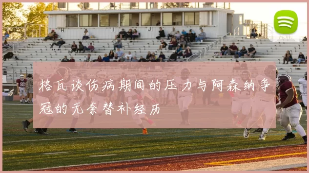 格瓦谈伤病期间的压力与阿森纳争冠的无奈替补经历